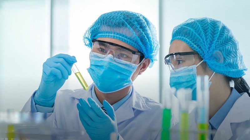 医药原料行业标准揭秘：如何判断品质与价格