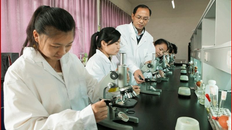 揭秘医药供应链管理：排名背后的逻辑与考量
