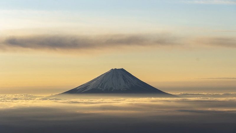 注射级药用辅料进口与国产区别