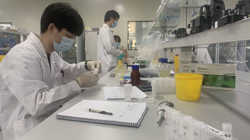 聚乙二醇4000在片剂中的应用解析**