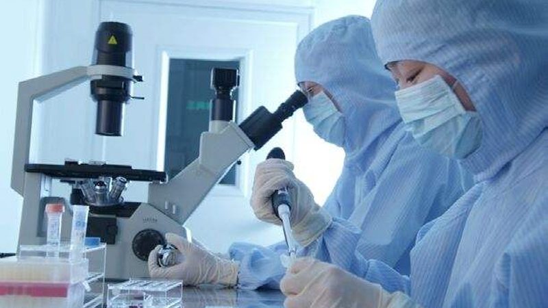 医药招商代理政策解析：政策差异与选择要点