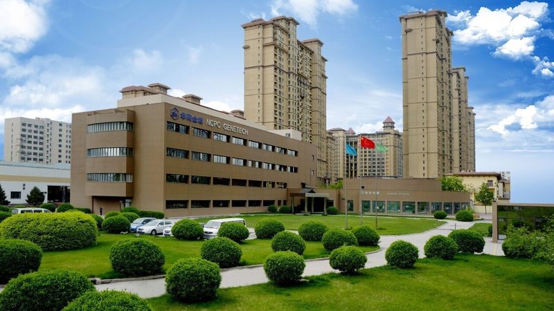医药批发公司排名背后的逻辑与考量