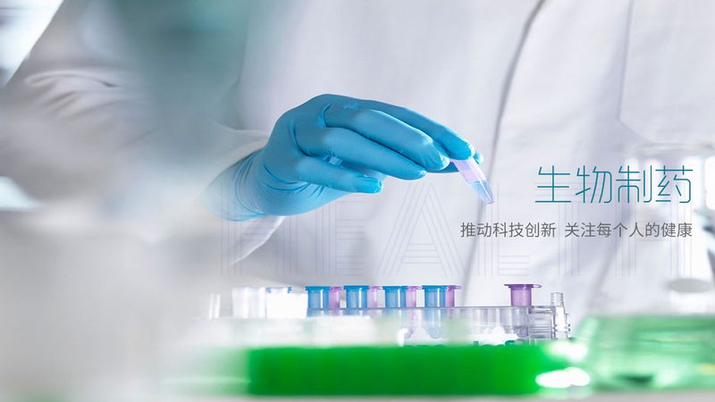 中药粉用空心胶囊：揭秘其应用与选择要点